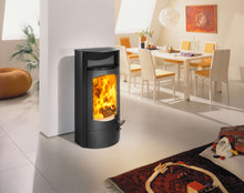 Lade das Bild in den Galerie-Viewer, Austroflamm Koko 2.0