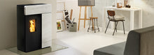 Lade das Bild in den Galerie-Viewer, Domo
